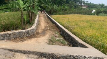 Pemdes Gunung Mulya Realisasikan Program Pemerintah Bantuan Keuangan Infrastruktur Desa,Perkerasan Jalan Lingkungan dan TPT. 