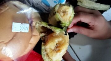 SPPG CIHIDEUNG ILIR 006 menyalurkan makanan kepada siswa Pisang tidak layak Kosumsi